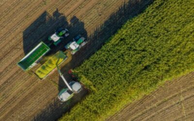 Bail rural : payer ses fermages en fonction de ses récoltes ?