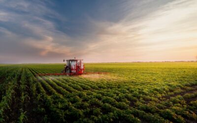 PAC : des dérogations temporaires pour bénéficier des aides