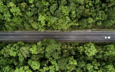 Vie professionnelle et vie personnelle du salarié : une distinction pas toujours aisée…