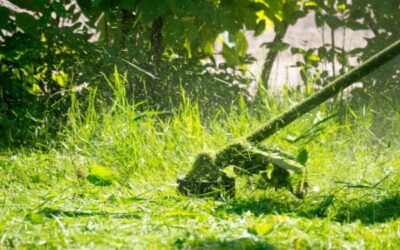 Débroussaillement 2024 : de nouvelles précisions…