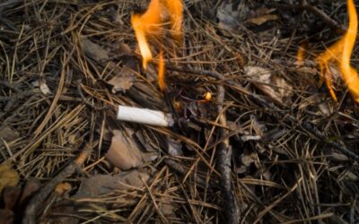 Prévention des incendies de forêts : la responsabilité élargie des producteurs (REP) du tabac est mise au travail !