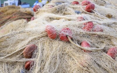 Investir dans un bateau de pêche à La Réunion : un avantage fiscal à la clé ?