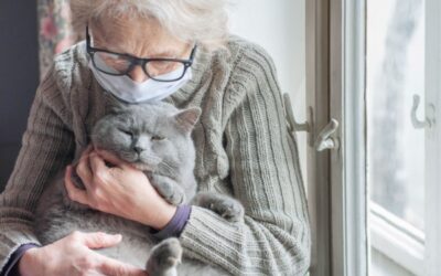 Loi bien-vieillir acte 2 : assurer la bientraitance des personnes vulnérables