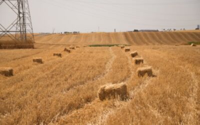 Un exploitant agricole… qui ne l’est pas vraiment ?
