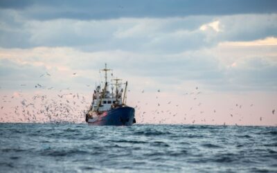 Aide financière liée au carburant : séance de rattrapage pour les entreprises de pêche