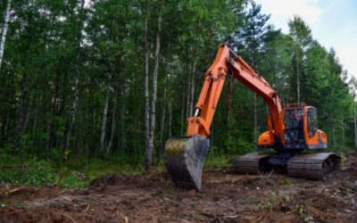 Travaux de défrichement : ne pas aller plus vite que la musique…