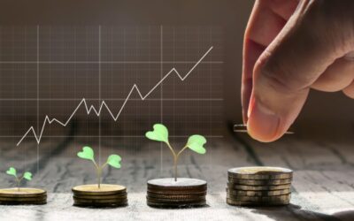 Plan d’épargne avenir climat : disponible au 1er juillet 2024