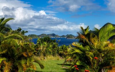 Outremer : objectif plein emploi