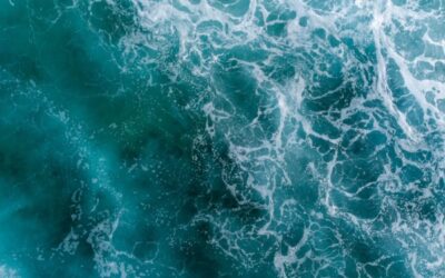 Drones maritimes : une règlementation mise à jour