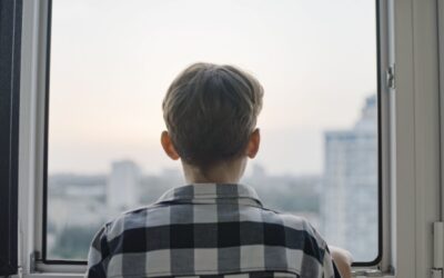 Travailleurs indépendants : nouvelle pension de réversion