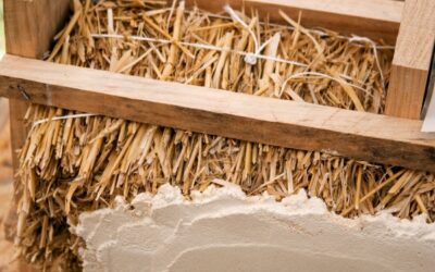 Label « bâtiment biosourcé » : des critères rénovés !