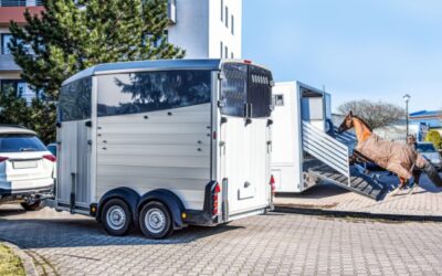 Véhicules dédiés au transport de chevaux : une déduction de TVA bien scellée !