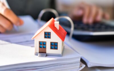 Taxe foncière sur les terrains : ça se cultive ?