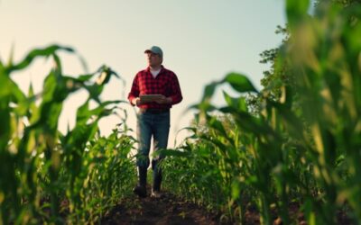 Aides agricoles : de nouveaux montant et de nouvelles conditions