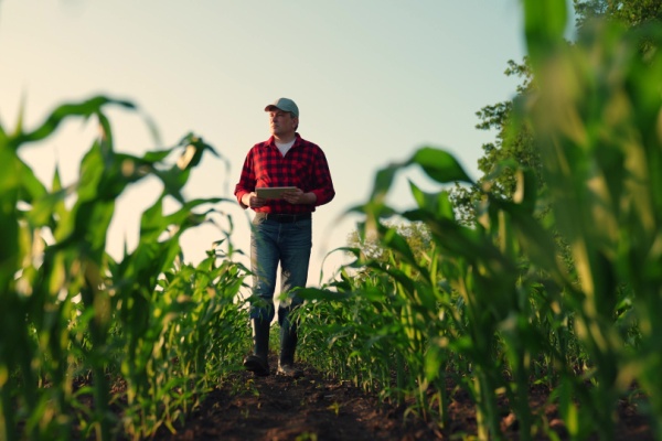 Aides agricoles : de nouveaux montant et de nouvelles conditions