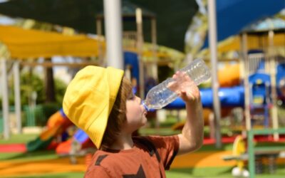 Contenants alimentaires et santé : la lutte contre le plastique continue !