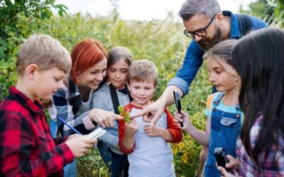 Contrat d’engagement éducatif : une évolution de la rémunération !