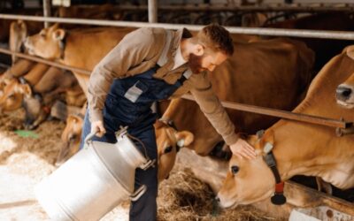 Nouvelles mesures fiscales en faveur du secteur agricole : c’est déjà parti ?