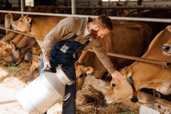 Nouvelles mesures fiscales en faveur du secteur agricole : c’est déjà parti ?