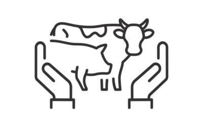 Agriculture : le point sur les mesures d’aide en septembre 2025