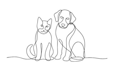 Activités liées aux animaux de compagnie : une réglementation partiellement décalée…