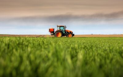 FranceAgriMer et organisations de producteurs : des sanctions possibles ?