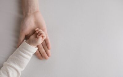 Revalorisation du complément de libre choix du mode de garde des enfants de moins de 6 ans