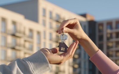 Prescription acquisitive à Mayotte : un délai raccourci