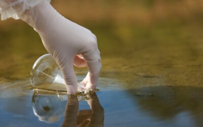 Qualité de l’eau en Bretagne : mise en place d’une expérimentation pour le secteur agricole