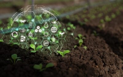 Agriculture : qui pilote la stratégie nationale d’installation et de transmission ?