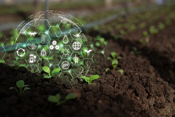 Agriculture : qui pilote la stratégie nationale d’installation et de transmission ?