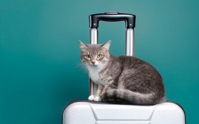 Passeport des animaux de compagnie : une réglementation spécifique ?